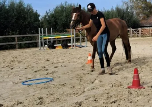 IMG-20250820-WA0013 (1)